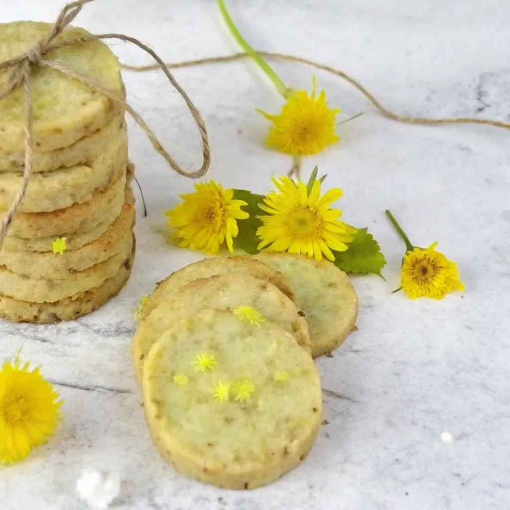 Homemade dandelion cookies with bright yellow petals, a nutritious and unique edible flower recipe perfect for spring foraging